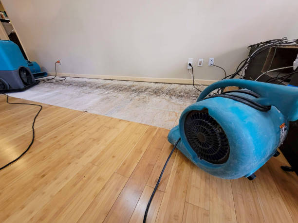 Professional Water Extraction technician working in Everett, MA